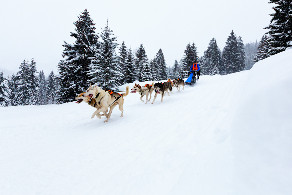 Stefan Klughammer (2)